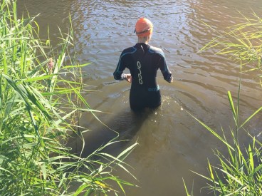 8a0eb0b2-2a8c-42b2-91de-4906889b70e4