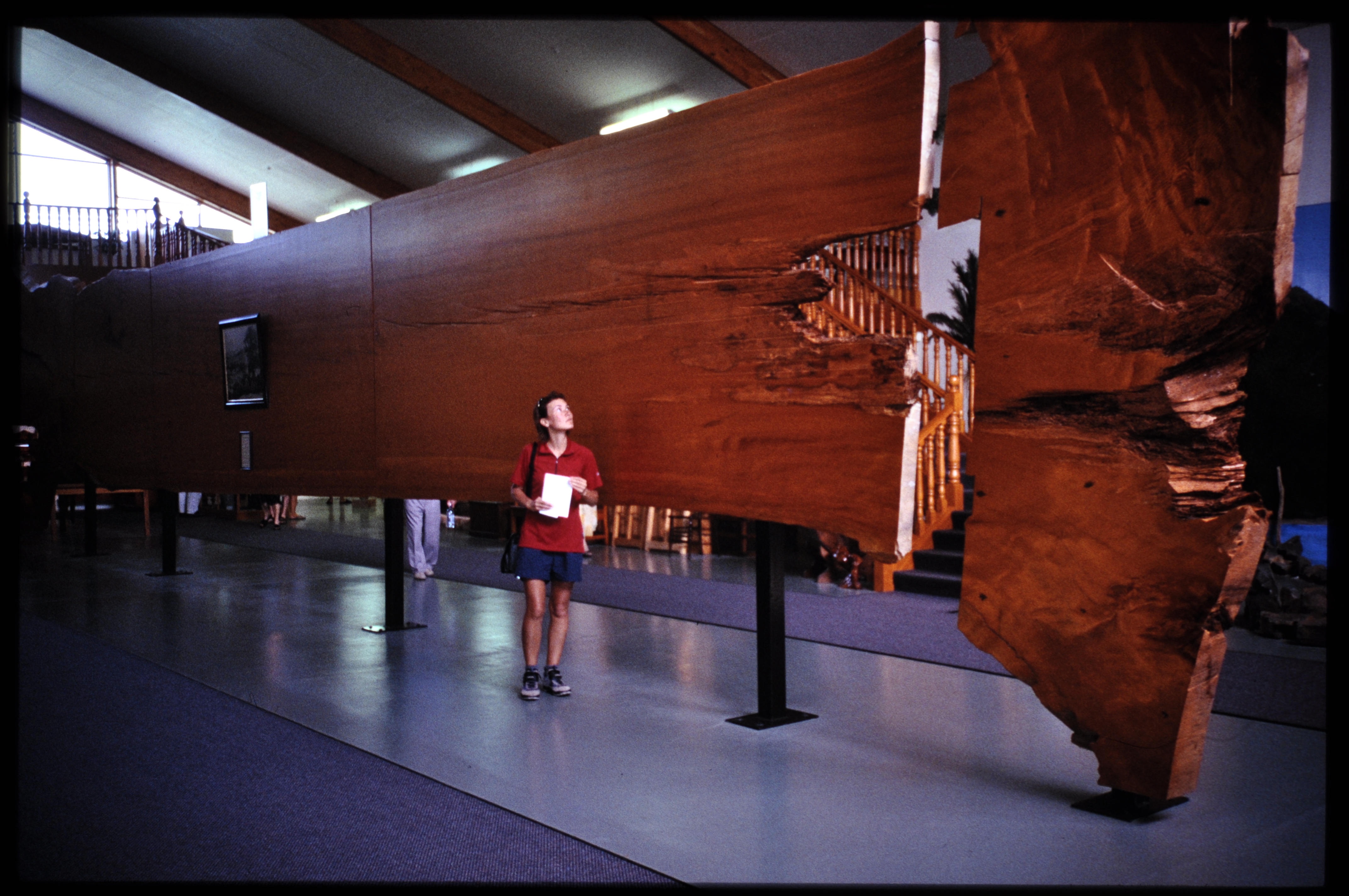 92694C05-86B9-4612-A587-3E219A5360DF